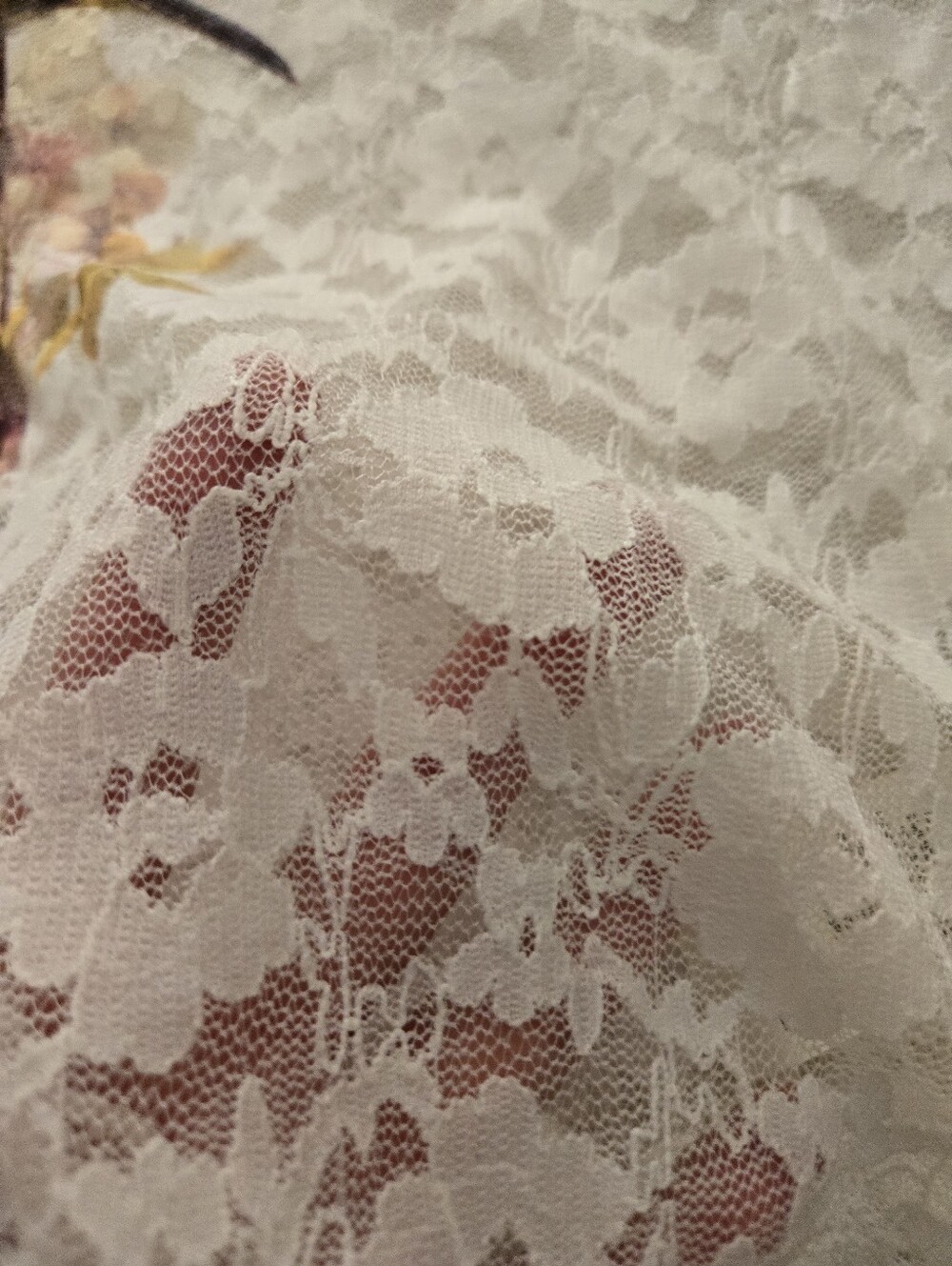 NWT Anthropologie White Lace Short-Sleeve Tee with Colorful Bird Print - Picture 5 of 5